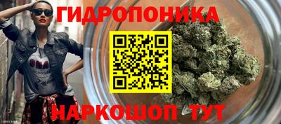 PSILOCYBIN Славгород